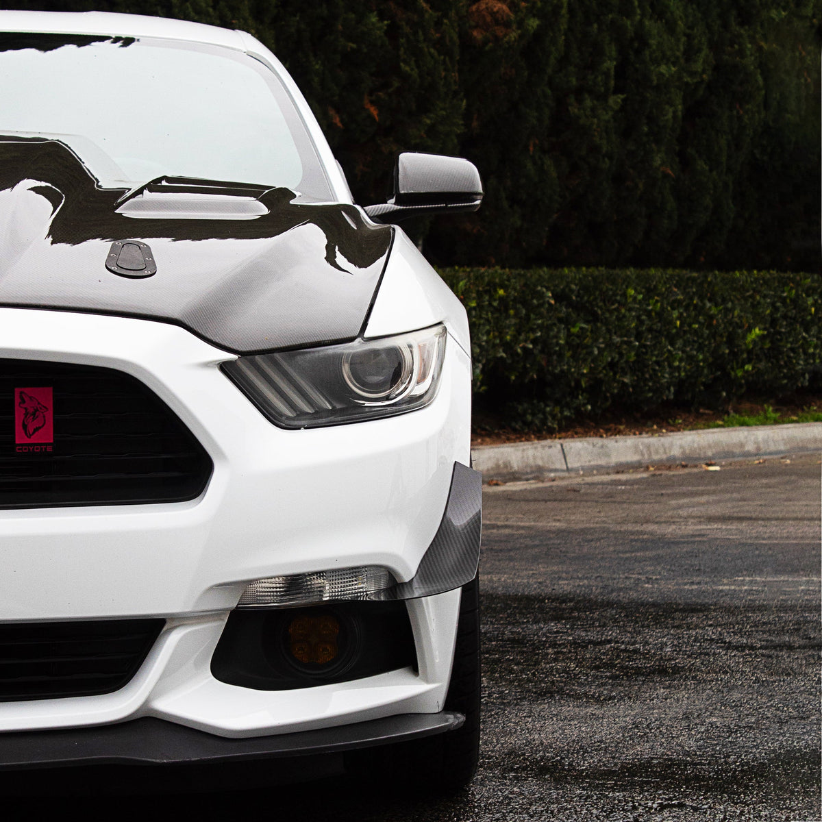 2015-2017 Ford Mustang - Carbon Fiber Canards Aerodynamics