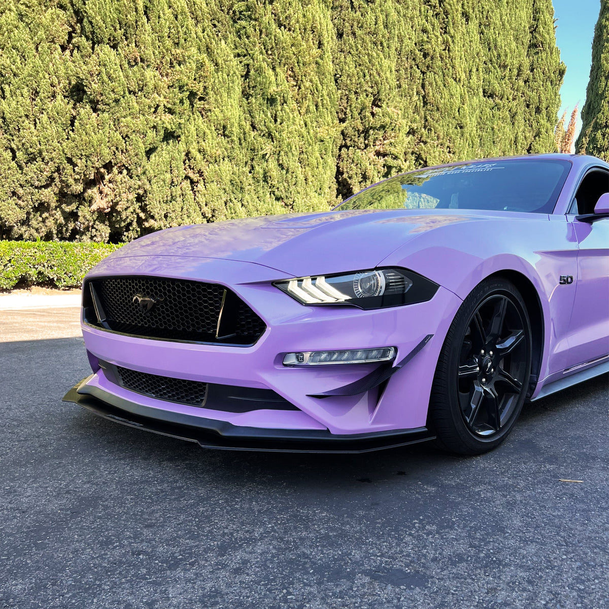 2018-2023 Ford Mustang - Carbon Fiber Canards